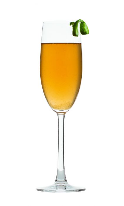 PINK PASSION BELLINI