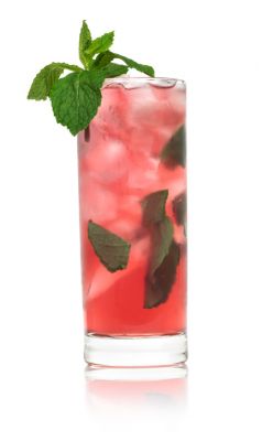 WATERMELON MOJITO